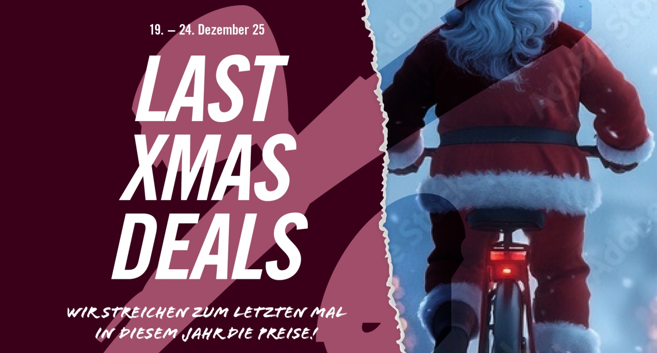 LAST XMAS SALE
